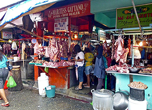 資金運用の提案